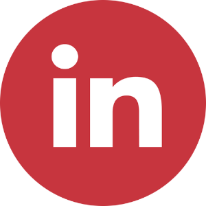 The LinkedIn icon