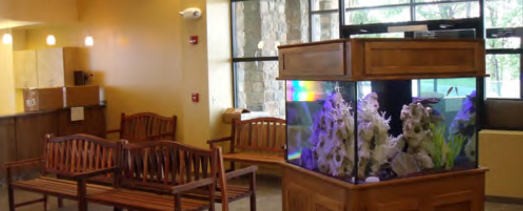 A picture of the lobby at the Veterinary Specialty Center